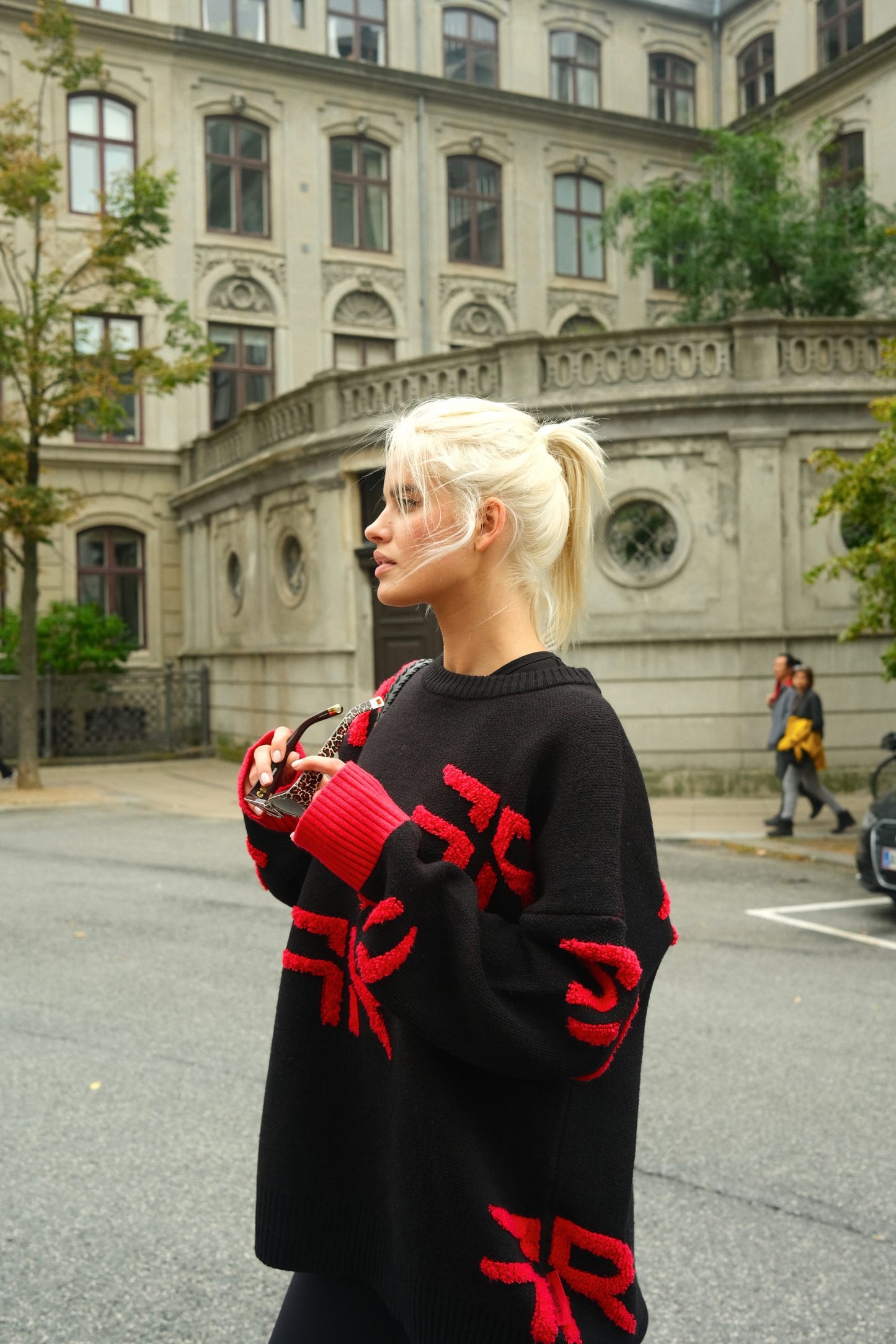 Freisi Merino Wool Jacquard Pullover